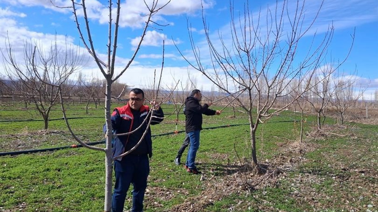 Iğdır’da çiftçilere uygulamalı meyve ağacı budama eğitimi
