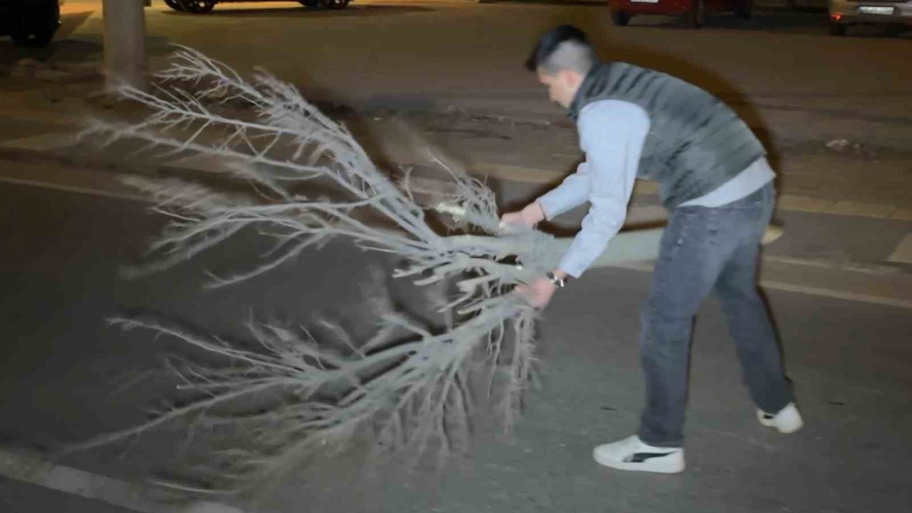 Kaza sonrası cam ve plastik parçalarıyla dolan yolu vatandaş kırılan ağaçla böyle temizledi
