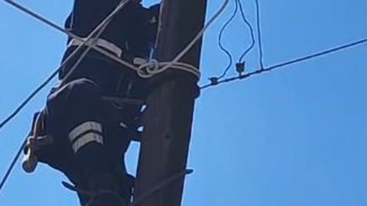 Köpeklerden korkup elektrik direğine çıkan kedi kurtarıldı
