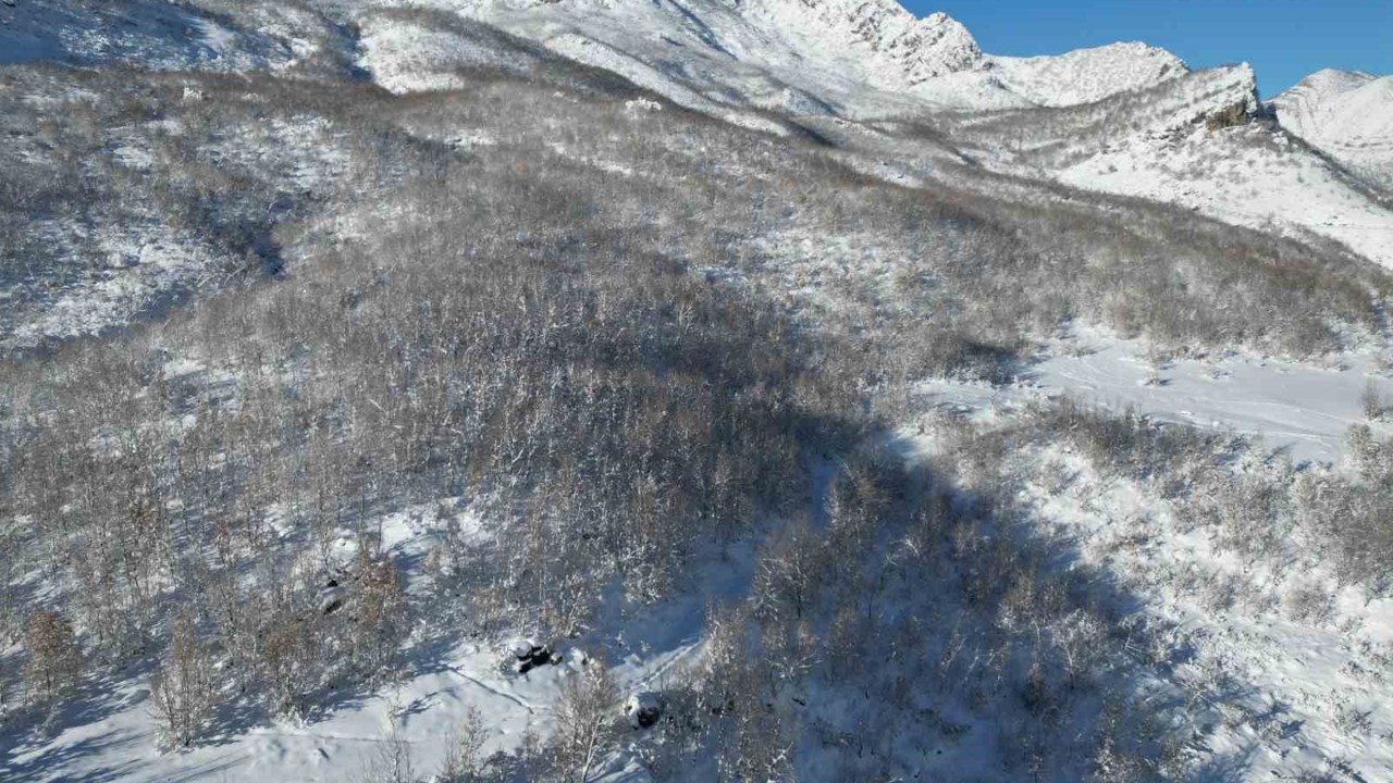 Şırnak’ta kar sonrası dağlar beyaza büründü
