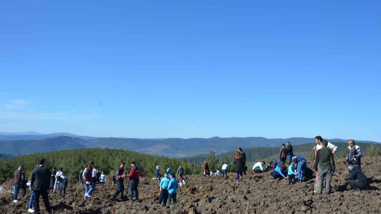 Emet’te zeytin fidanları toprakla buluştu
