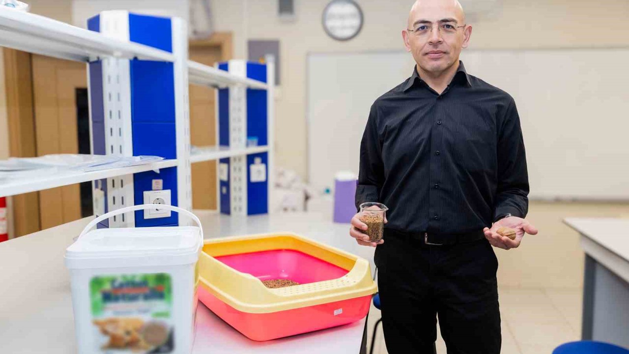 Ceviz kabuğundan kedi kumu üretti
