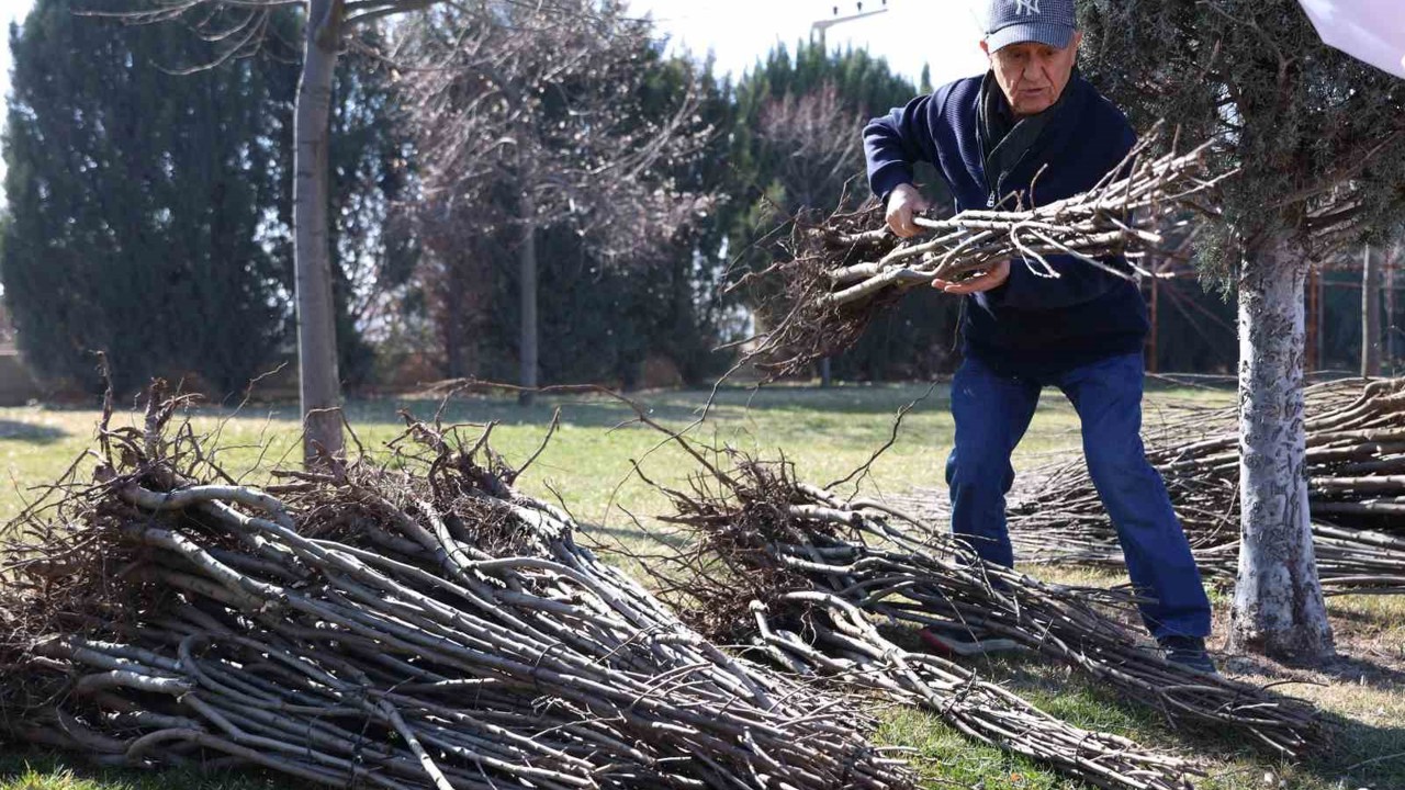Başkan Altay: "23 bin 500 adet fidanı çiftçimize ulaştıracağız"
