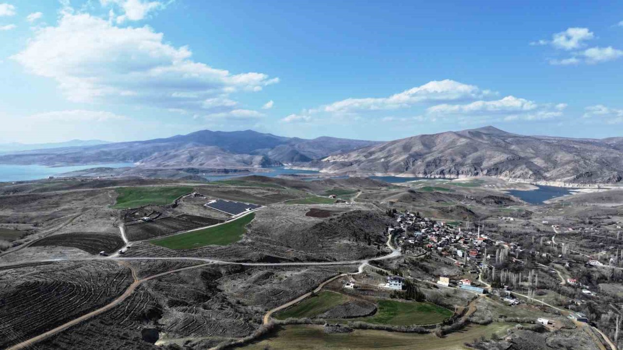 Başkan Çolakbayrakdar: "Türkiye’de ağaç dikmede rekor kırdık, şimdi yeni bir rekor için çalışıyoruz"
