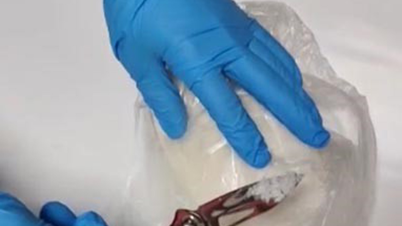 Tunceli’de uyuşturucu operasyonu: 1 kişi tutuklandı
