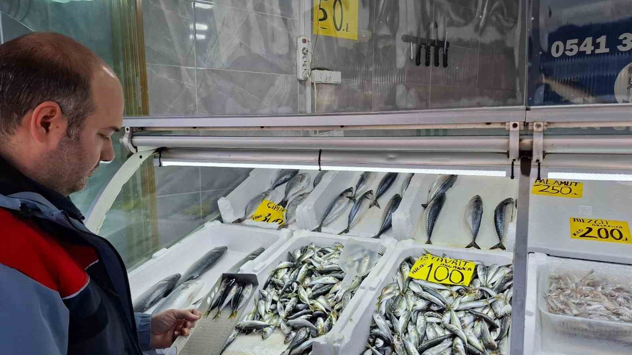 Yasak öncesi balık satış yerleri denetlendi
