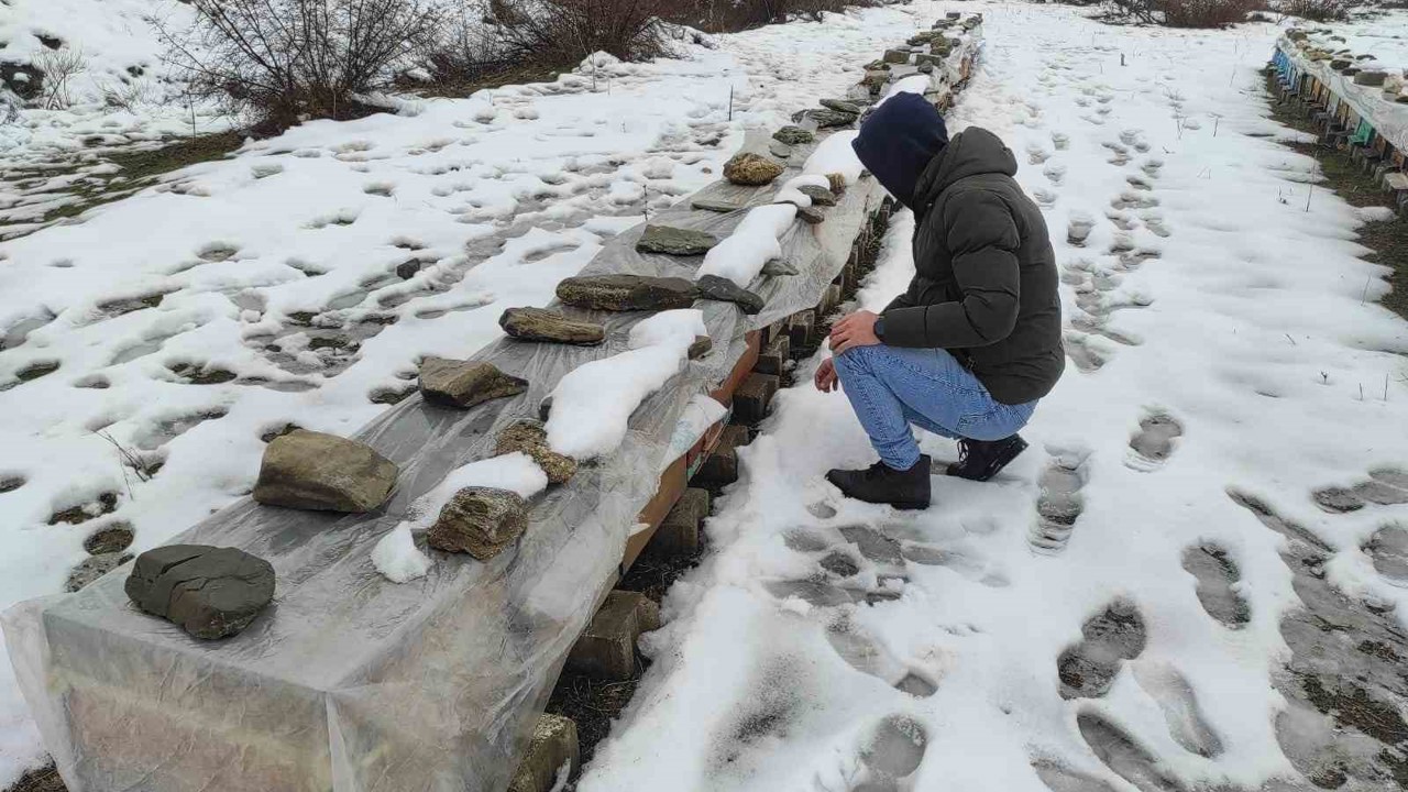 Birincilik getiren arılarını kış şartlarında özenle koruyor
