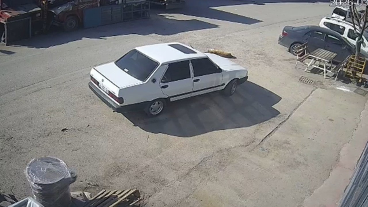 Bolu’da köpeğin üzerinden geçen sürücü gözaltına alındı
