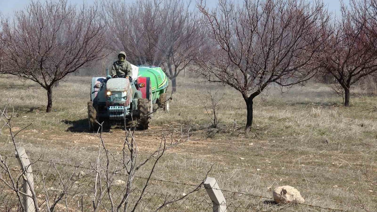 Malatya Ticaret Borsası (MTB) Başkanı Ramazan Özcan, kayısı ağaçlarında tomurcuk