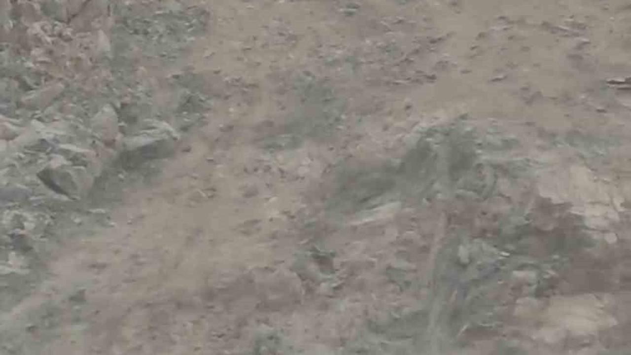 Diyarbakır’da nesli tükenme tehlikesi altında bulunan dağ keçileri sürü halinde görüntülendi
