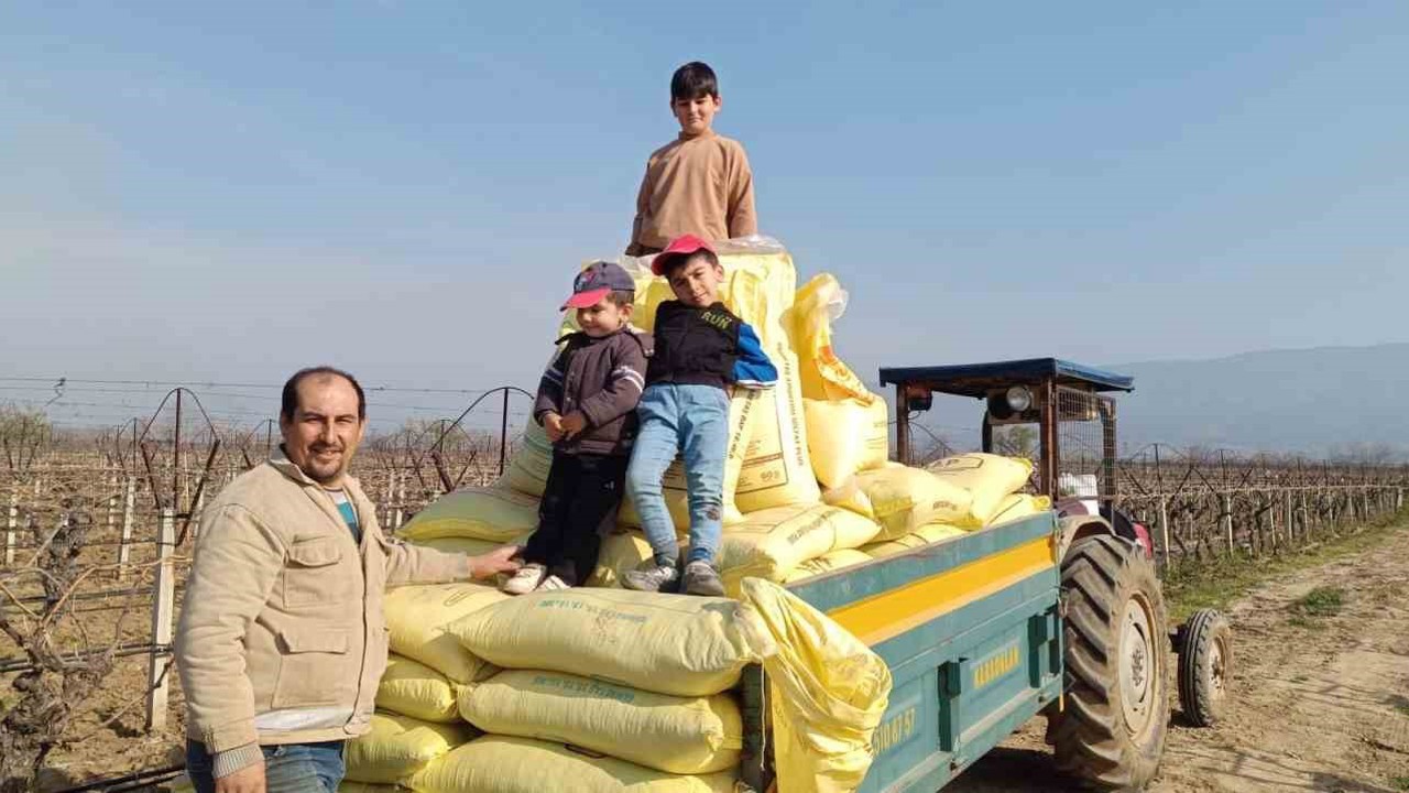 Sarıgöl bağlarında gübreleme çalışmaları başladı
