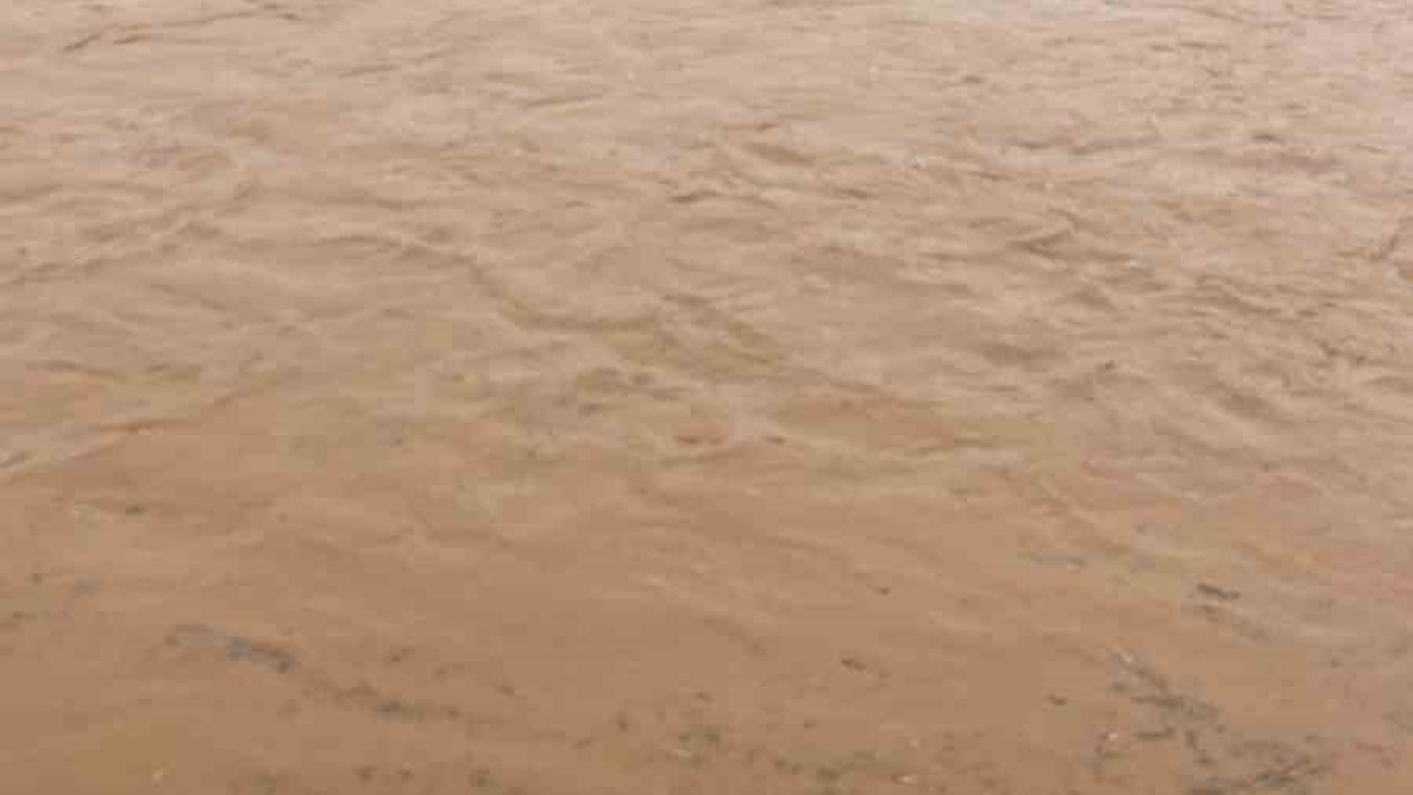 Diyarbakır’da sağanak nedeni ile onlarca koyun telef oldu
