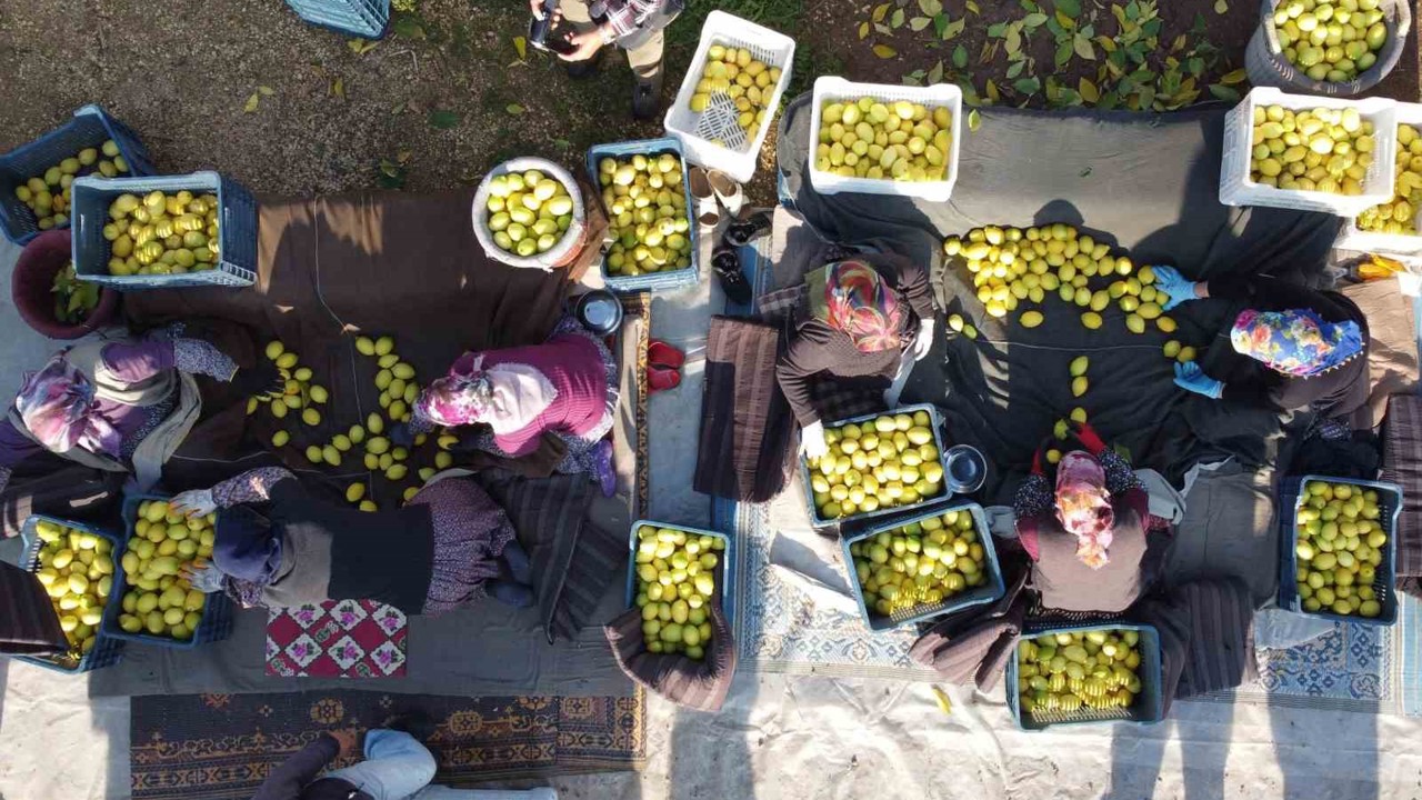 Tarım-ÜFE yıllık yüzde 40,10 arttı
