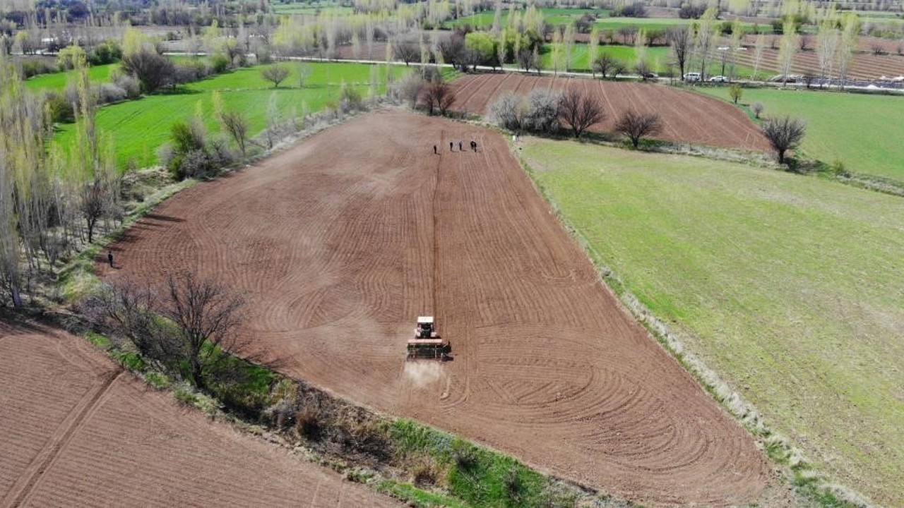 Çiftçinin enflasyonu şubatta yavaşladı
