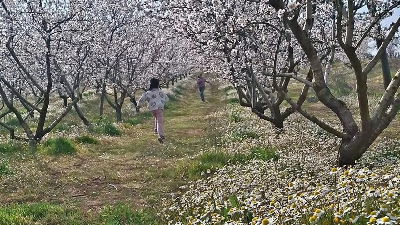 Sarıgöl’de kartpostallık manzara
