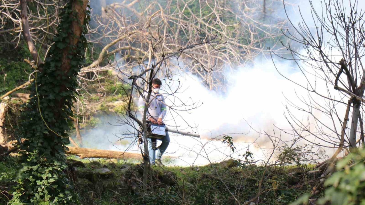 Bozdoğan Belediyesi ilaçlama çalışmalarını aralıksız sürdürüyor
