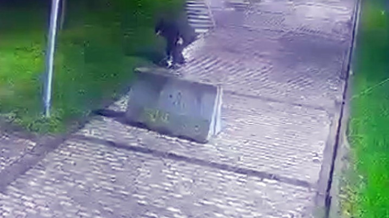 Beyoğlu’nda parkta düşürülen telefonu çaldı, o anlar kamerada
