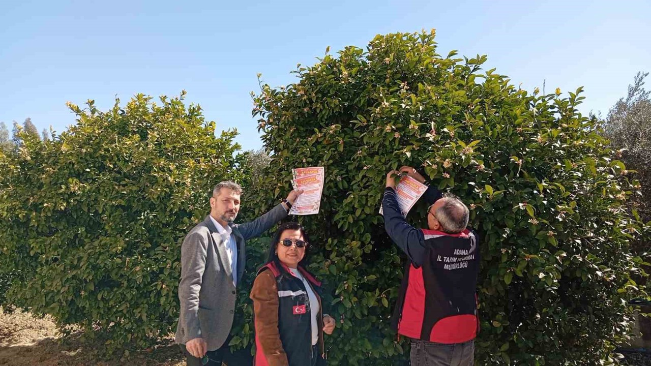 Kozan’da arıların korunmasına yönelik çalışma başlatıldı
