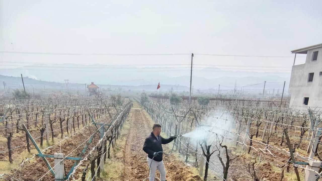 Bağlarda çiçek öncesi ilaçlama programı açıklandı
