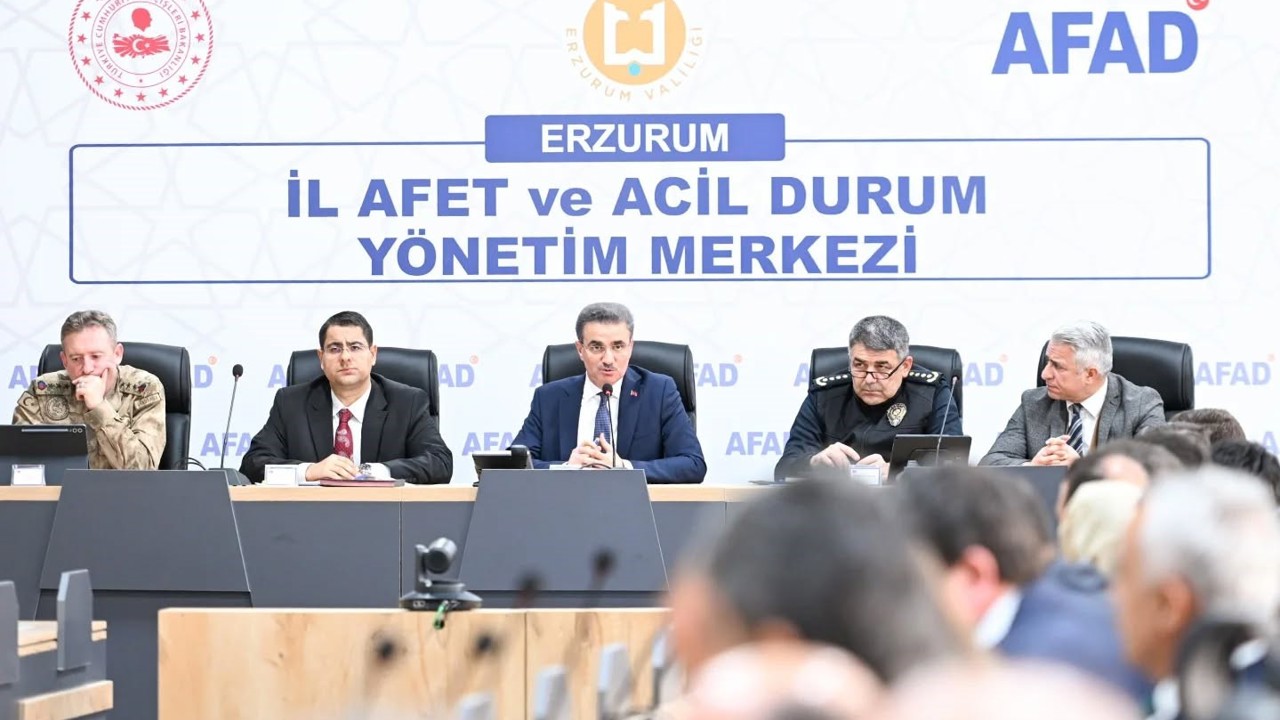 Sahipsiz hayvanlar yakın takipte
