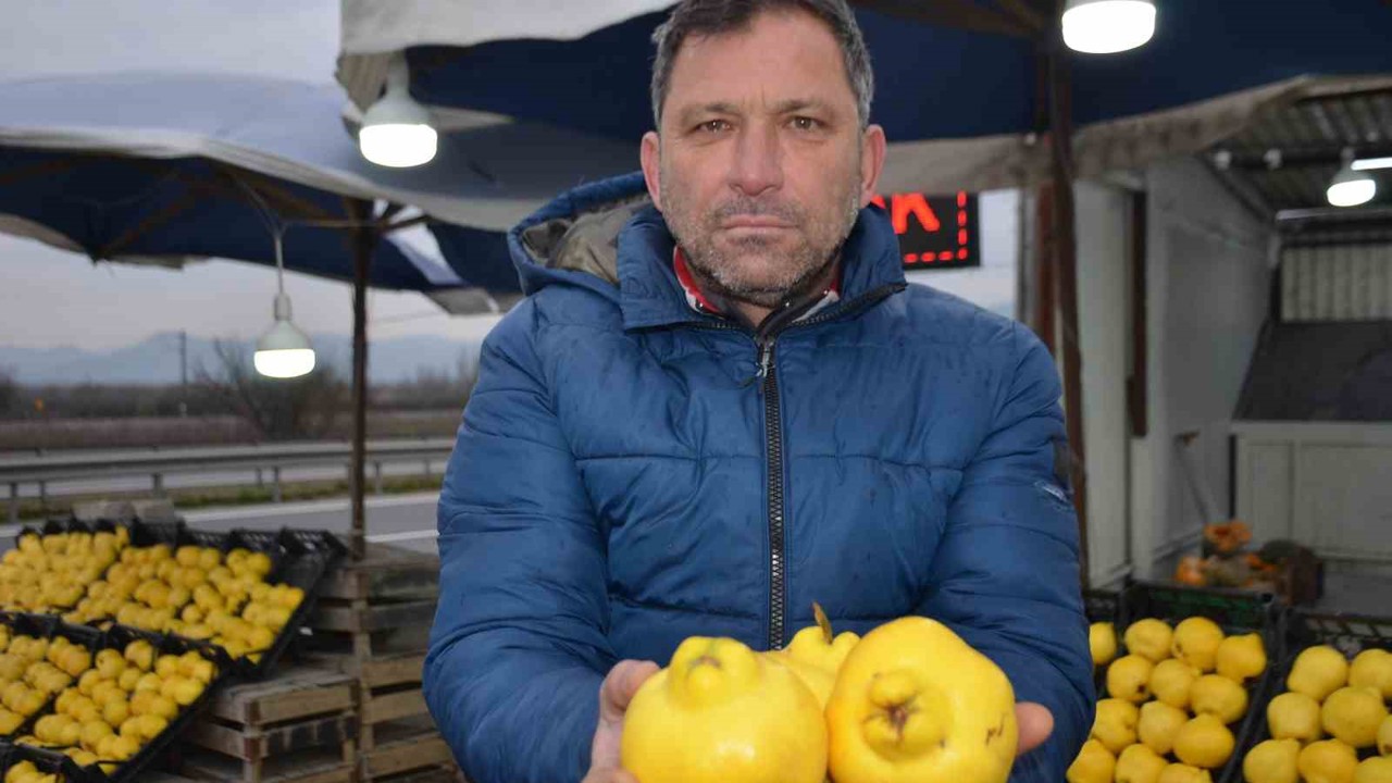 Ayvayı bu sene ayaz vurdu, fiyatlar fırladı
