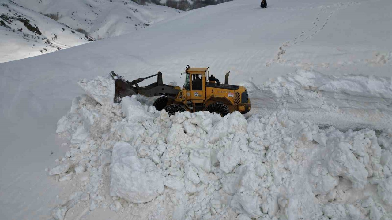 Bitlis’te 5 metreyi bulan karda yol açma çalışması
