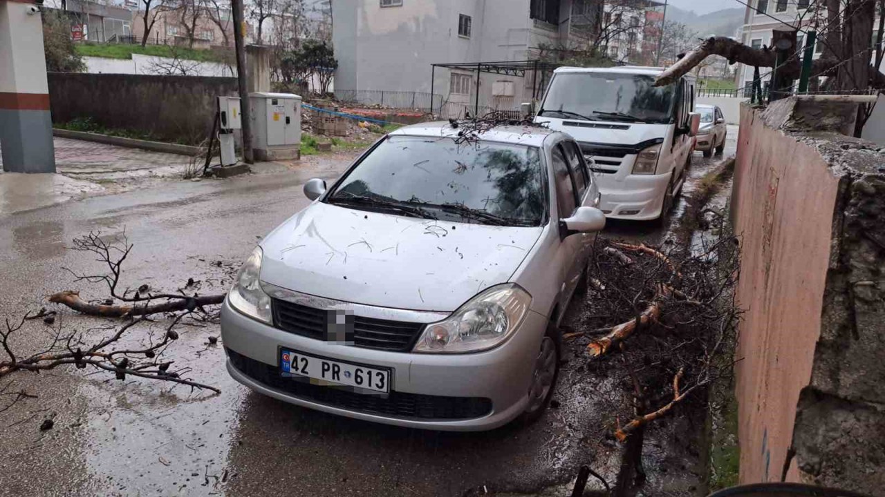 Yağmur ve şiddetli rüzgar çam ağacını devirdi, otomobil zarar gördü
