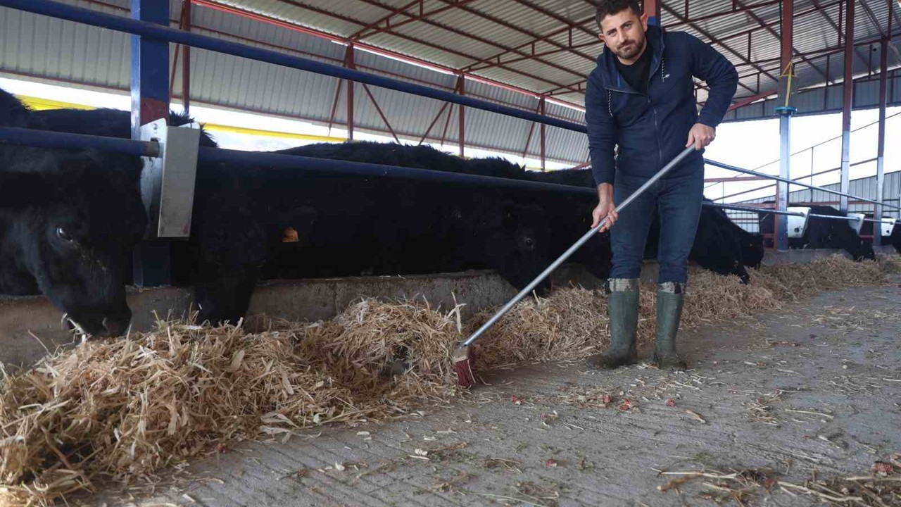 Ziraat mühendisliğini bırakarak devlet desteğiyle kurduğu çiftlikte hayvancılığa başladı
