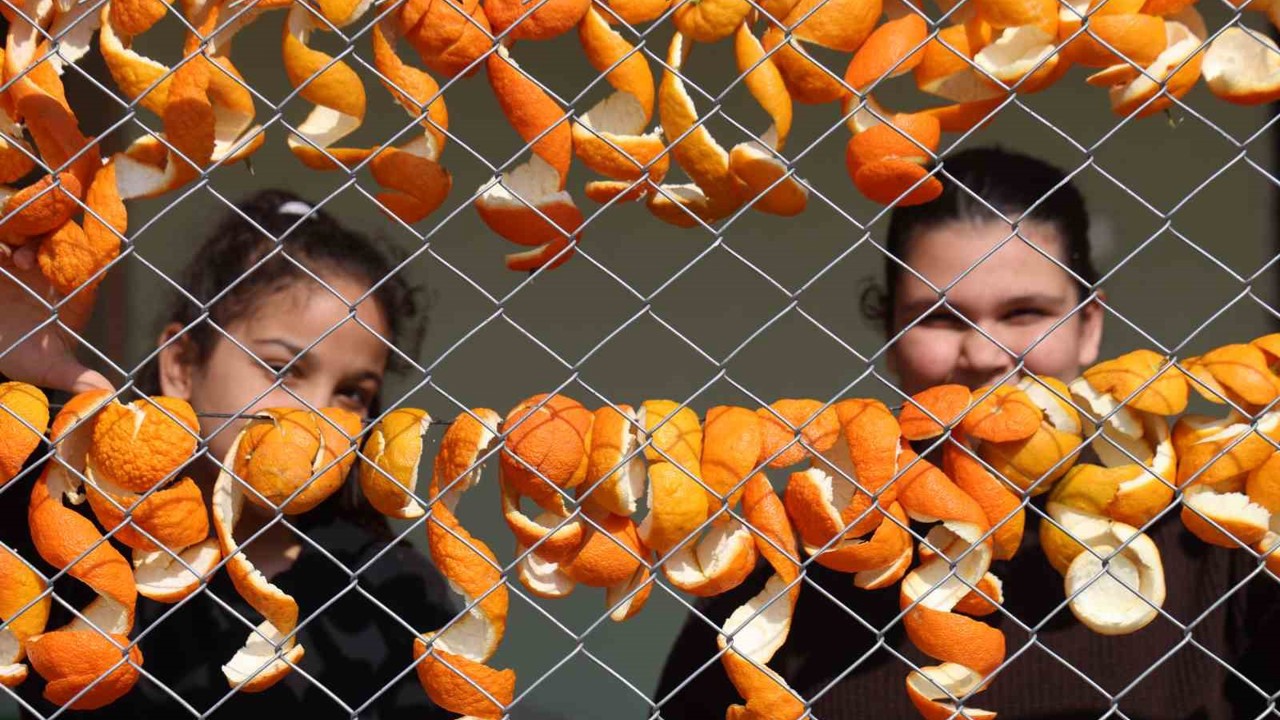 Limon ve turunç kabukları kadınların elinde değerleniyor
