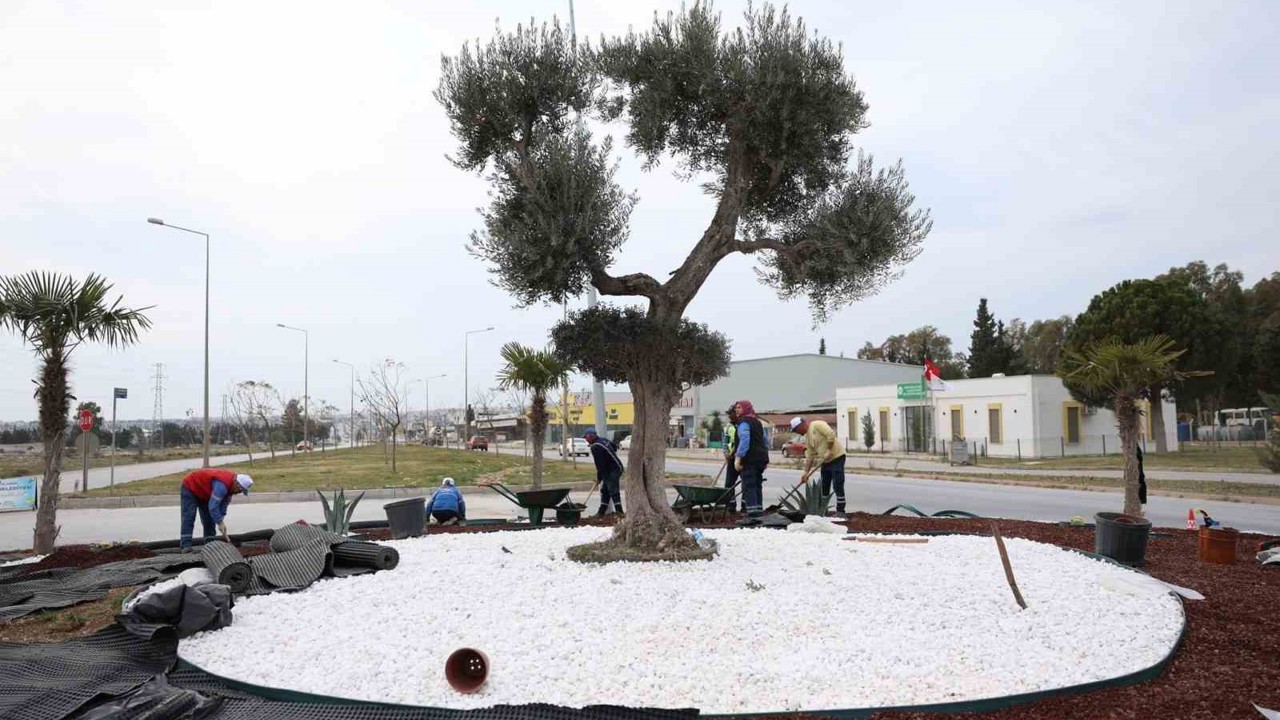 Didim Belediyesi, Didim’e çıkan yolları güzelleştirdi
