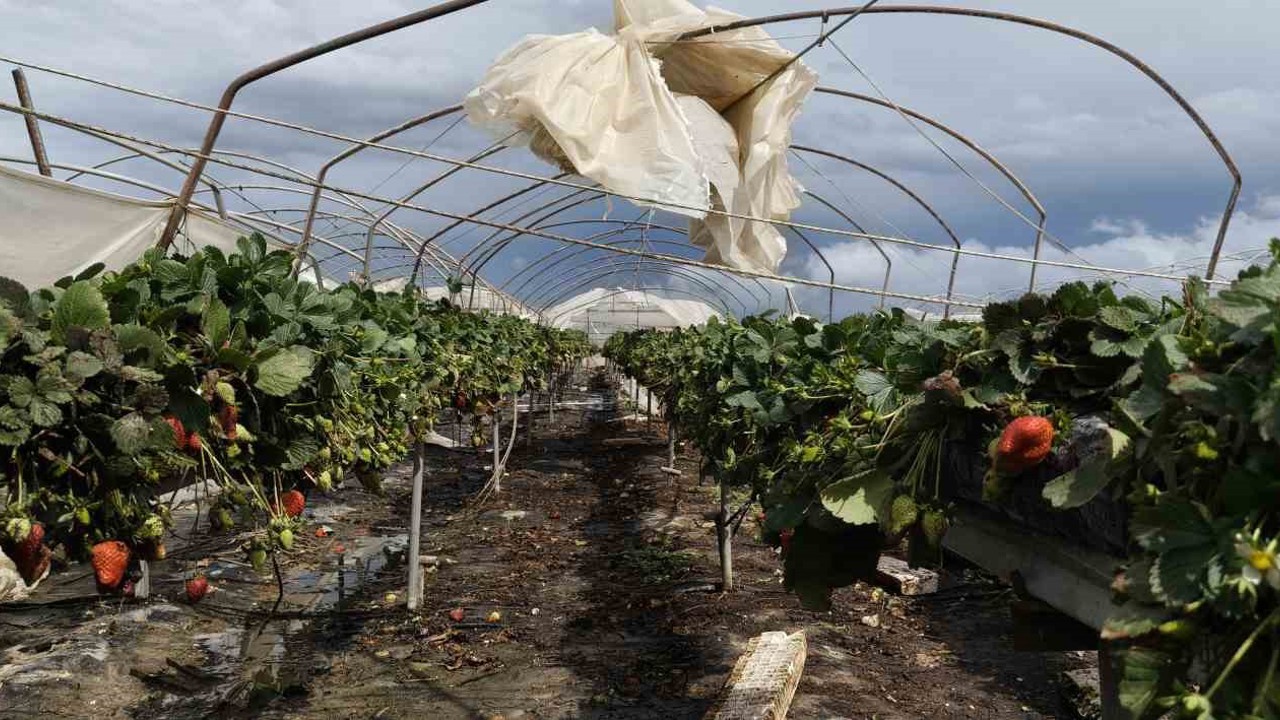 Silifke’de hortum seraları yerle bir etti
