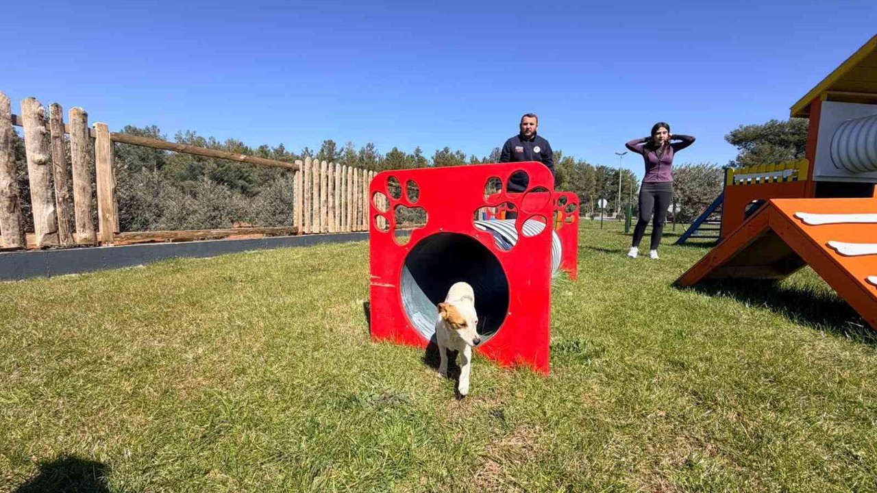 Duacı Mahallesi’nde Pati Park hizmet açıldı
