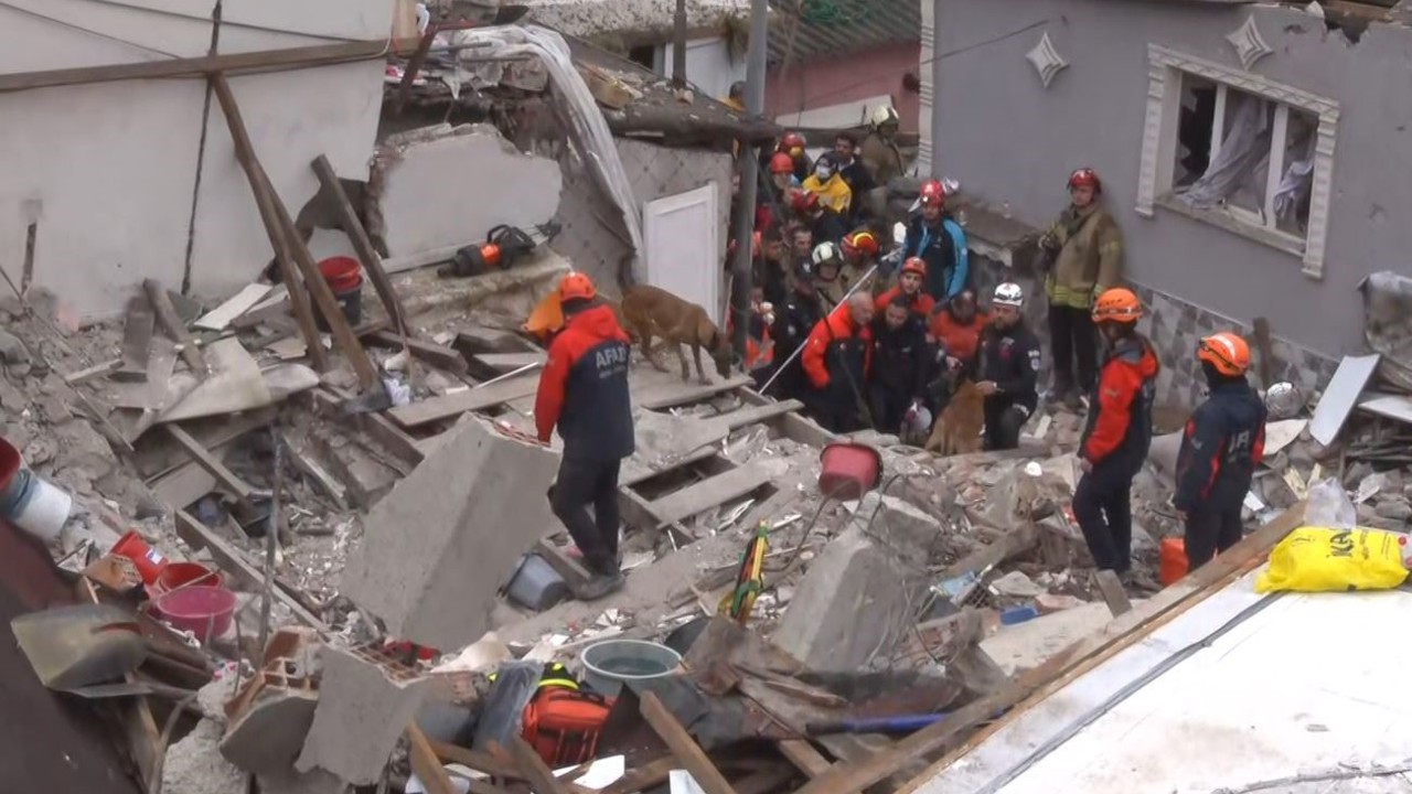 Fatih’te çöken binada enkaz altında kalanları kurtarma çalışmasına köpeklerde katıldı
