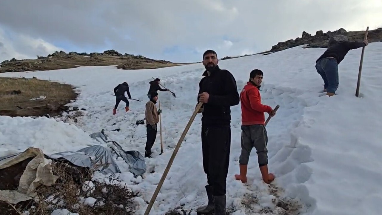Ağrı Dağı eteklerinde kar depolama mesaisi
