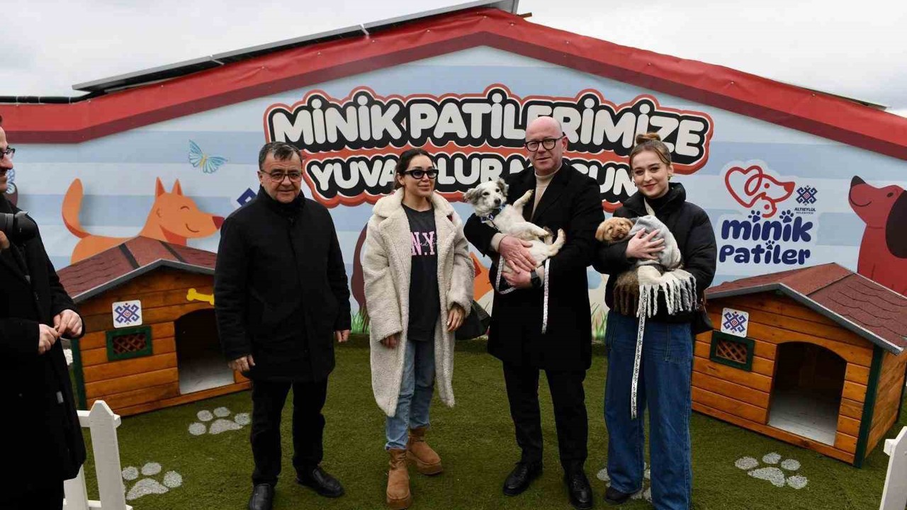 Altıeylül’ de can dostlar sıcak yuva bekliyor
