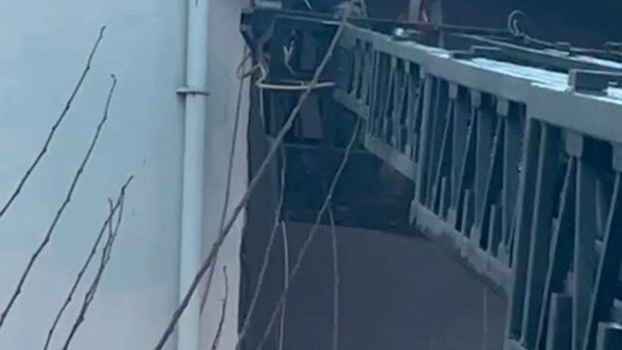 Takıldığı ipte asılı kalan güvercin kurtarıldı
