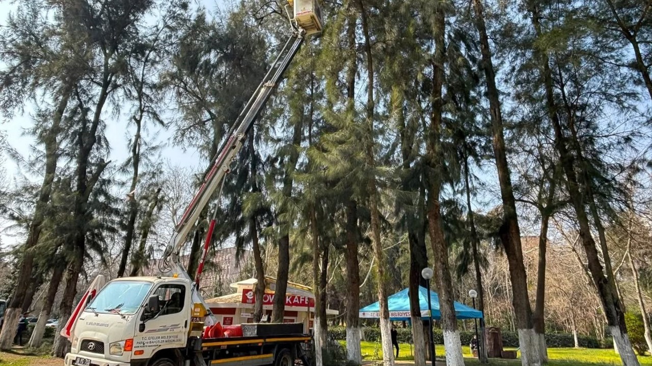 Efeler’de Pınarbaşı Mesire Alanı bakıma alındı
