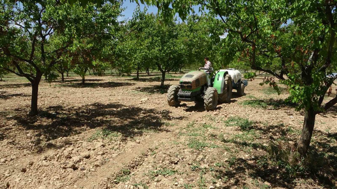 Kayısı üreticilerine manolya hastalığı uyarısı
