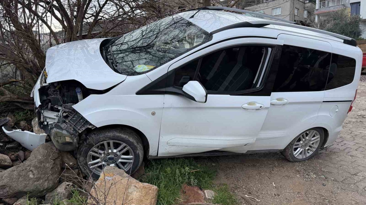 Freni boşalan hafif ticari araç ağaca çarptı: 1 yaralı
