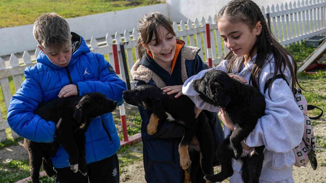 İzmir’de 2 bin 300 patili yuva bekliyor
