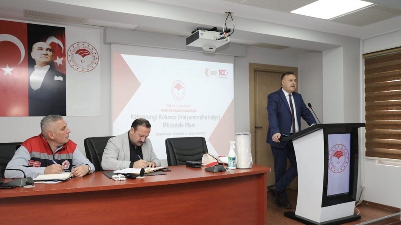 Trabzon’da kahverengi kokarca ile mücadelede yol haritası belirlendi
