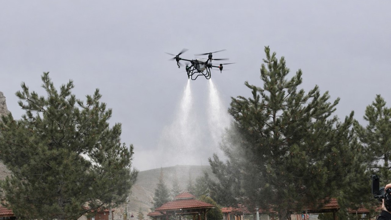 Sivas’ta keneye karşı havadan karadan mücadele
