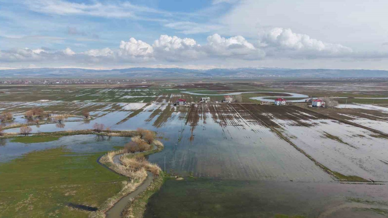 Muş Ovası’nda kar erimesi ve sağanak tarım arazilerini sular altında bıraktı
