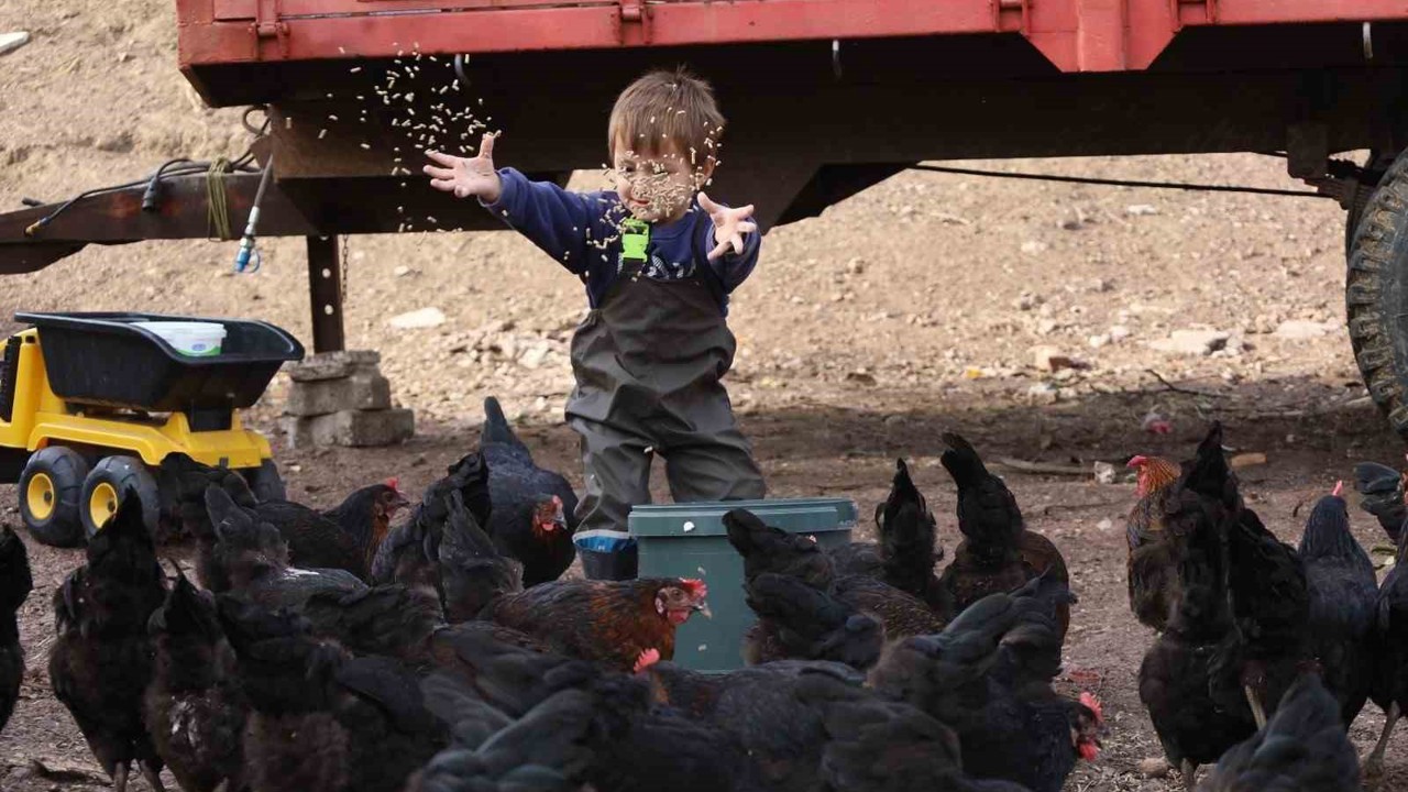 Kocaeli’de çiftçinin yüzünü güldüren destekler rakamlara yansıdı
