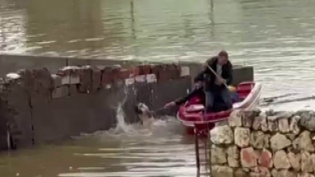Su taşkınında evde mahsur kalan köpek, vatandaşların bindiği botla kurtarıldı
