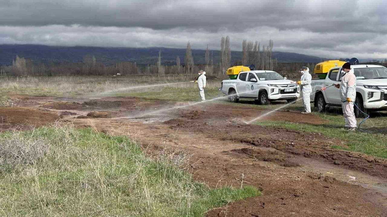 Çorum Belediyesi’nden yaz öncesi vektörle mücadele
