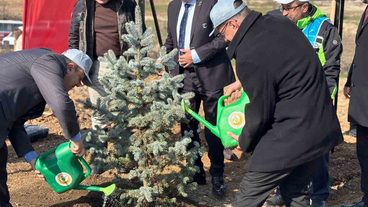 Kırklareli’nde 3 bin 750 fidan dikildi
