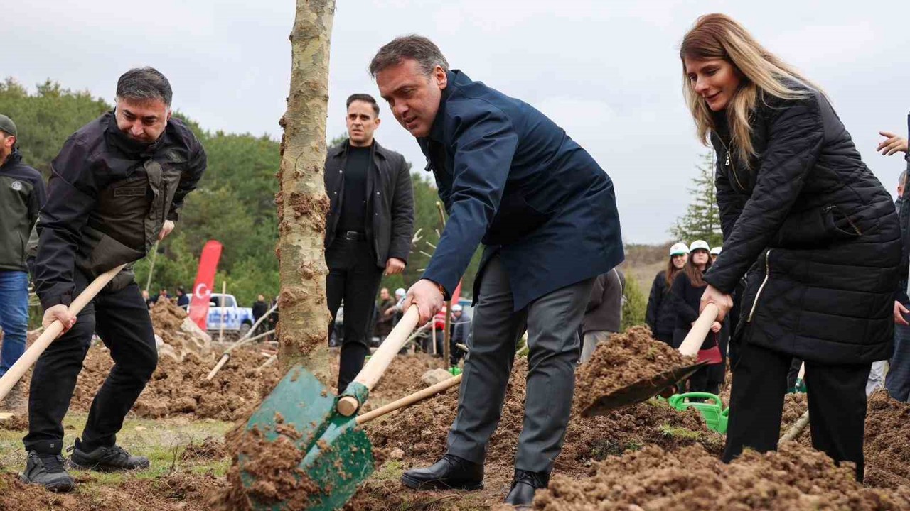 Şeyh Edebali’nin vefatının 700. yıl dönümünde 700 çınar toprakla buluştu
