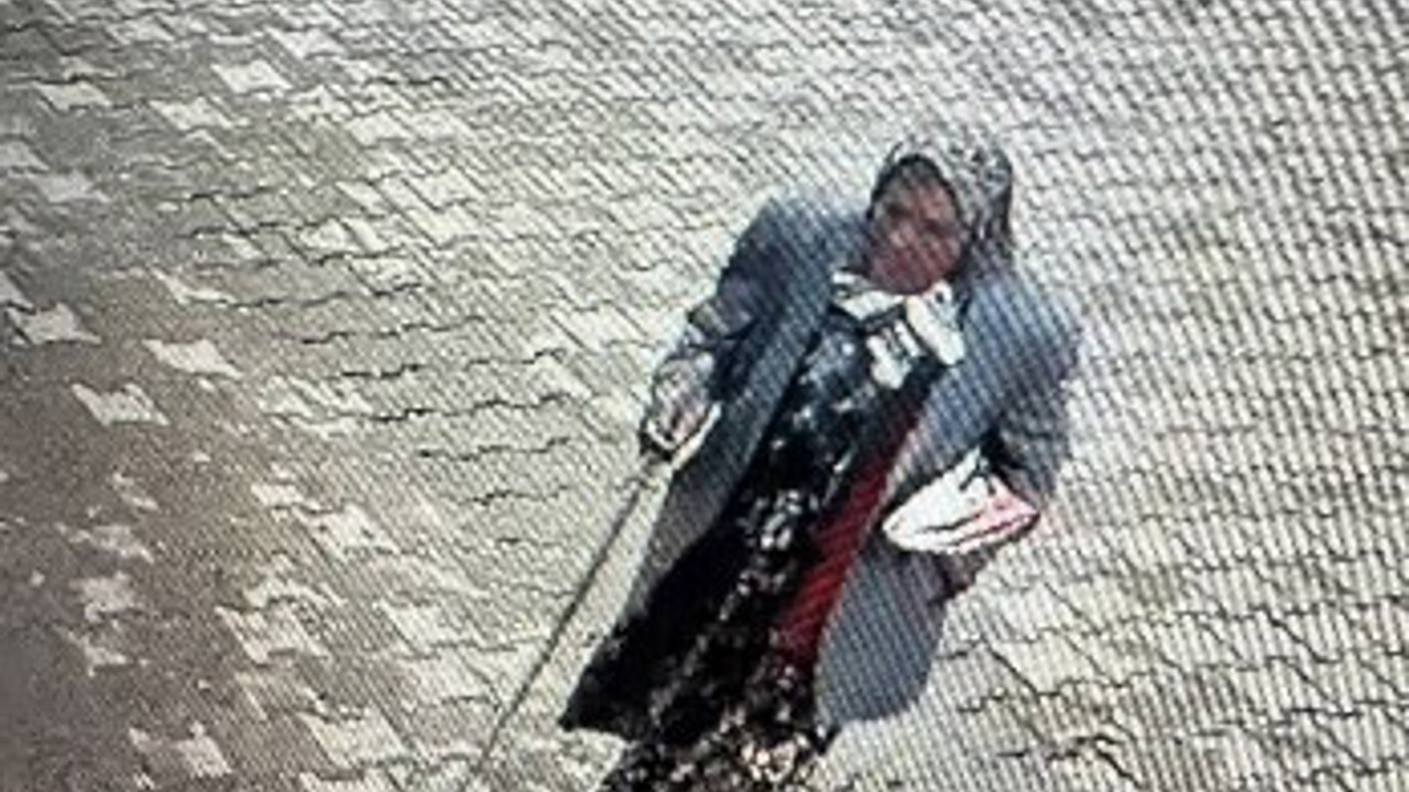 Kayıp olarak aranan 84 yaşındaki kadının cesedi bulundu
