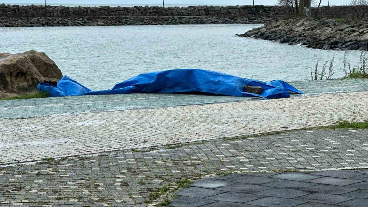 Ordu’da sahile insansız araç olduğu değerlendirilen cisim vurdu
